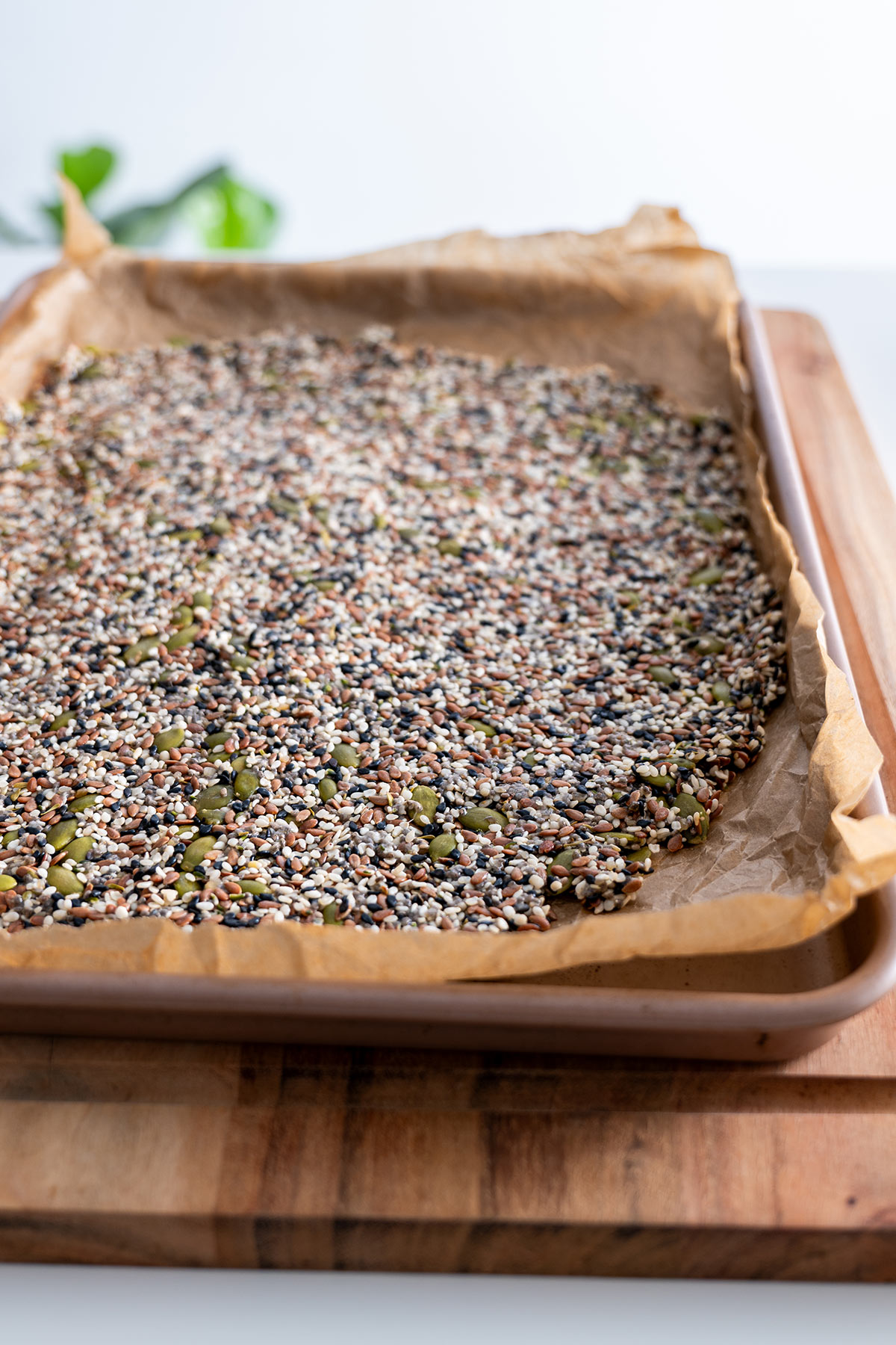 Spread of mixed seeds on baking paper ready to go into the oven.