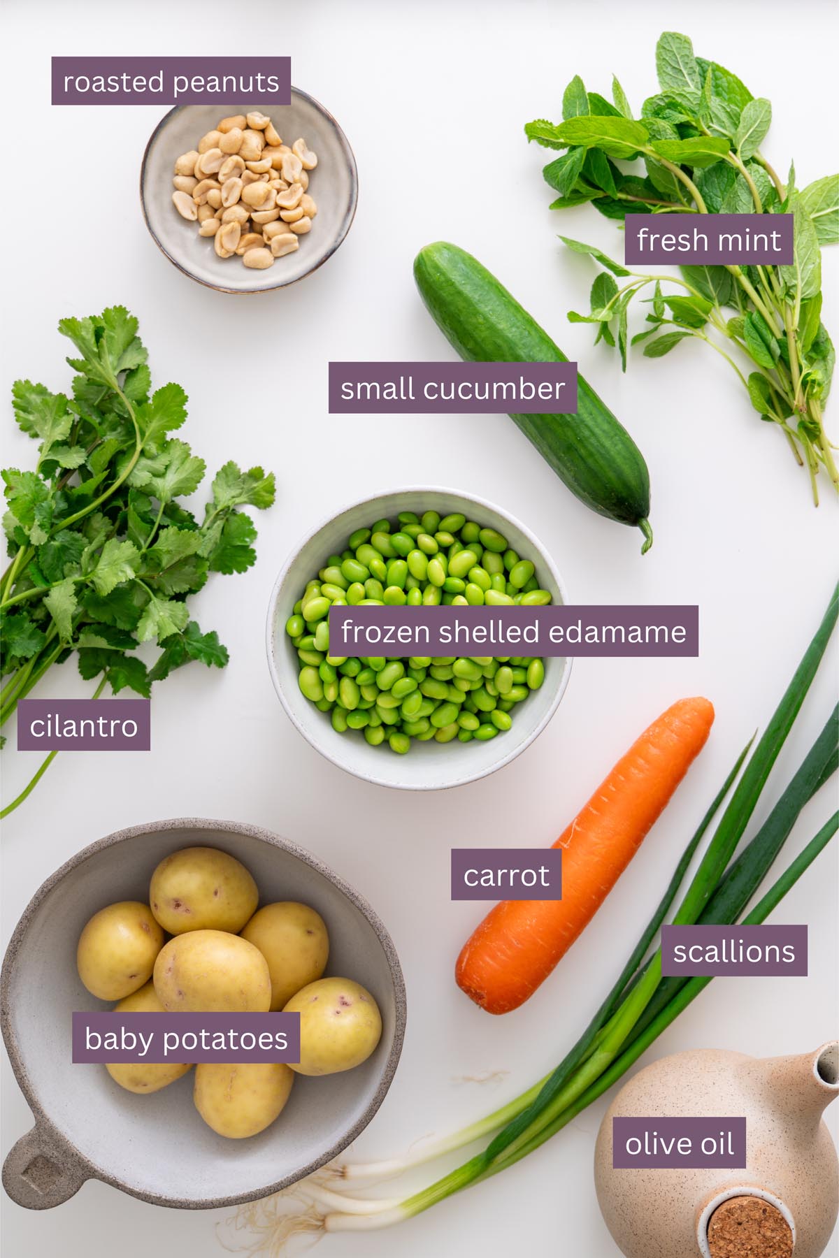 Main salad ingredients arranged on a white background including potatoes, edamame, carrot, cucumber, herbs, and peanuts
